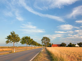 Landschaft auf Poel